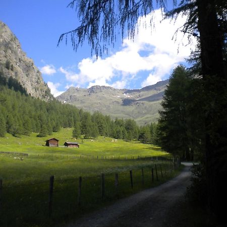 Bed & Breakfast Dolomiti Bey Haus Pinter Assling Exterior foto