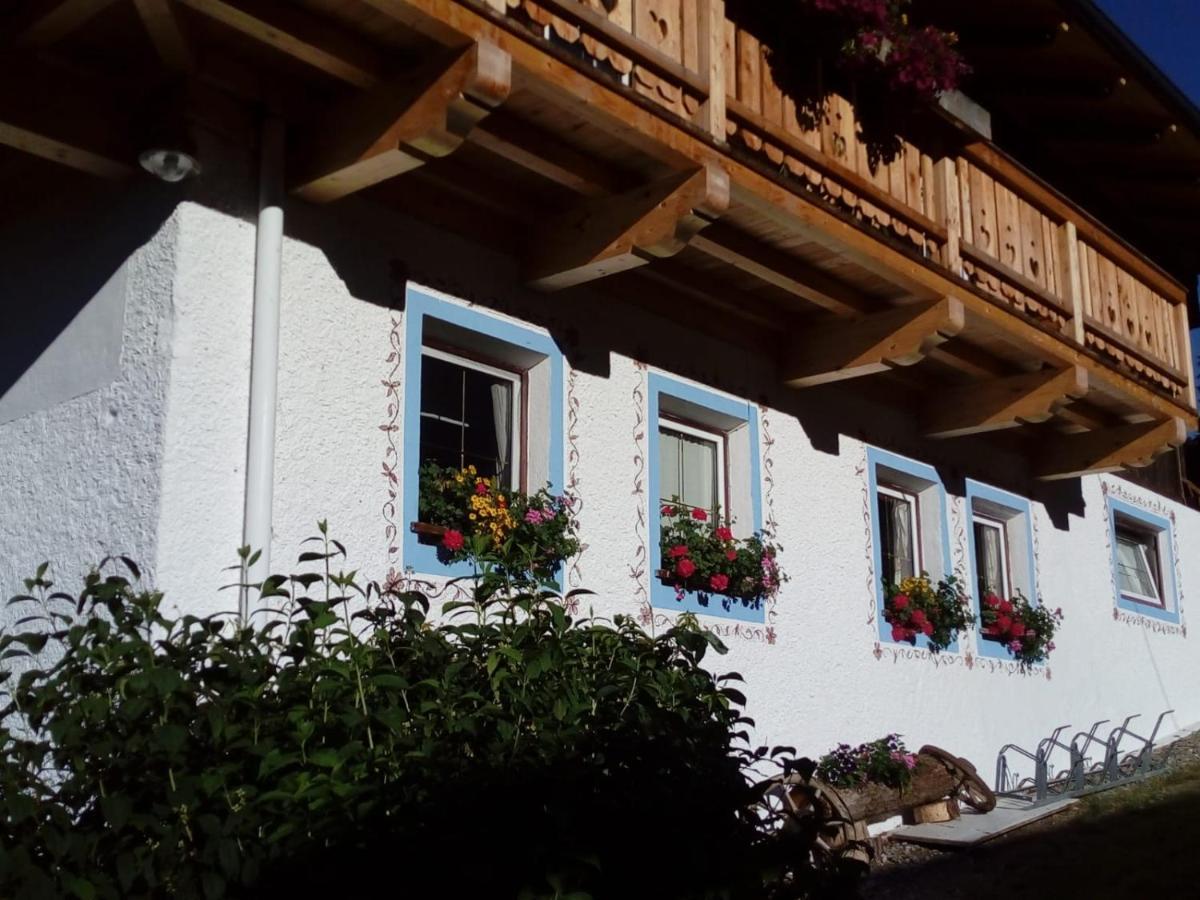 Bed & Breakfast Dolomiti Bey Haus Pinter Assling Exterior foto