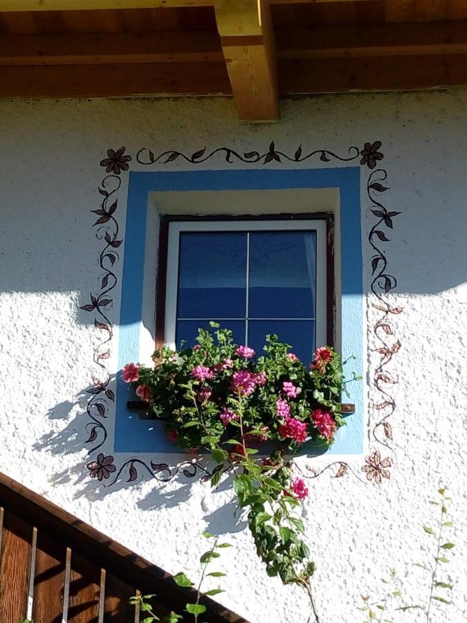 Bed & Breakfast Dolomiti Bey Haus Pinter Assling Exterior foto