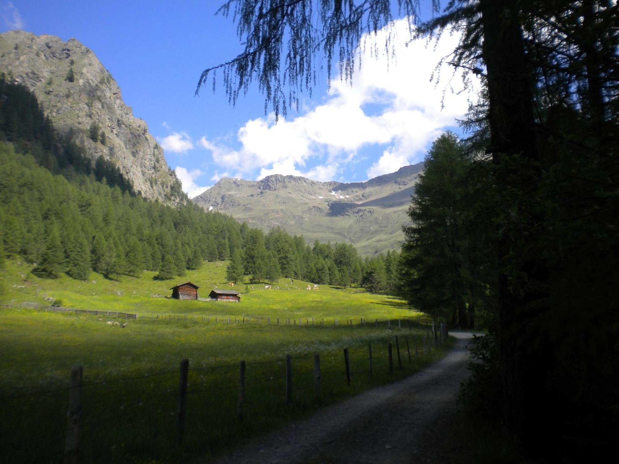 Bed & Breakfast Dolomiti Bey Haus Pinter Assling Exterior foto