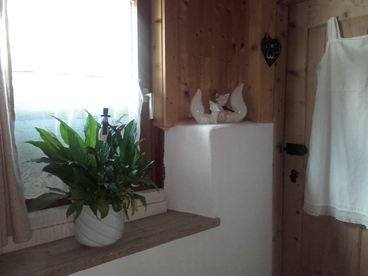 Bed & Breakfast Dolomiti Bey Haus Pinter Assling Exterior foto
