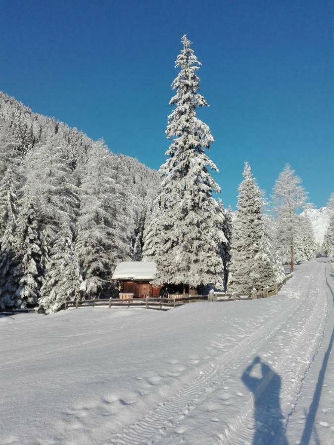 Bed & Breakfast Dolomiti Bey Haus Pinter Assling Exterior foto